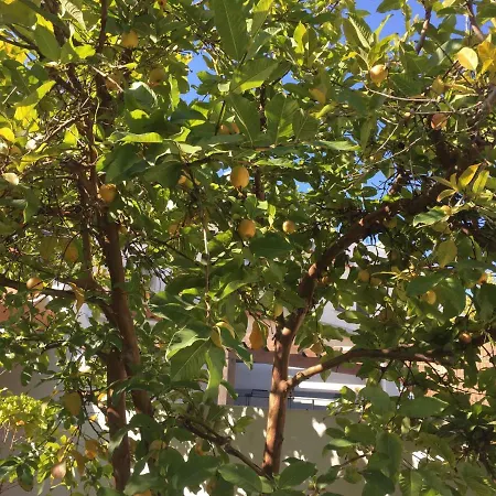 Σπίτι διακοπών Casa Da Marina Βιλαμούρα